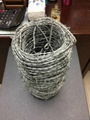 galvanized barbed wire