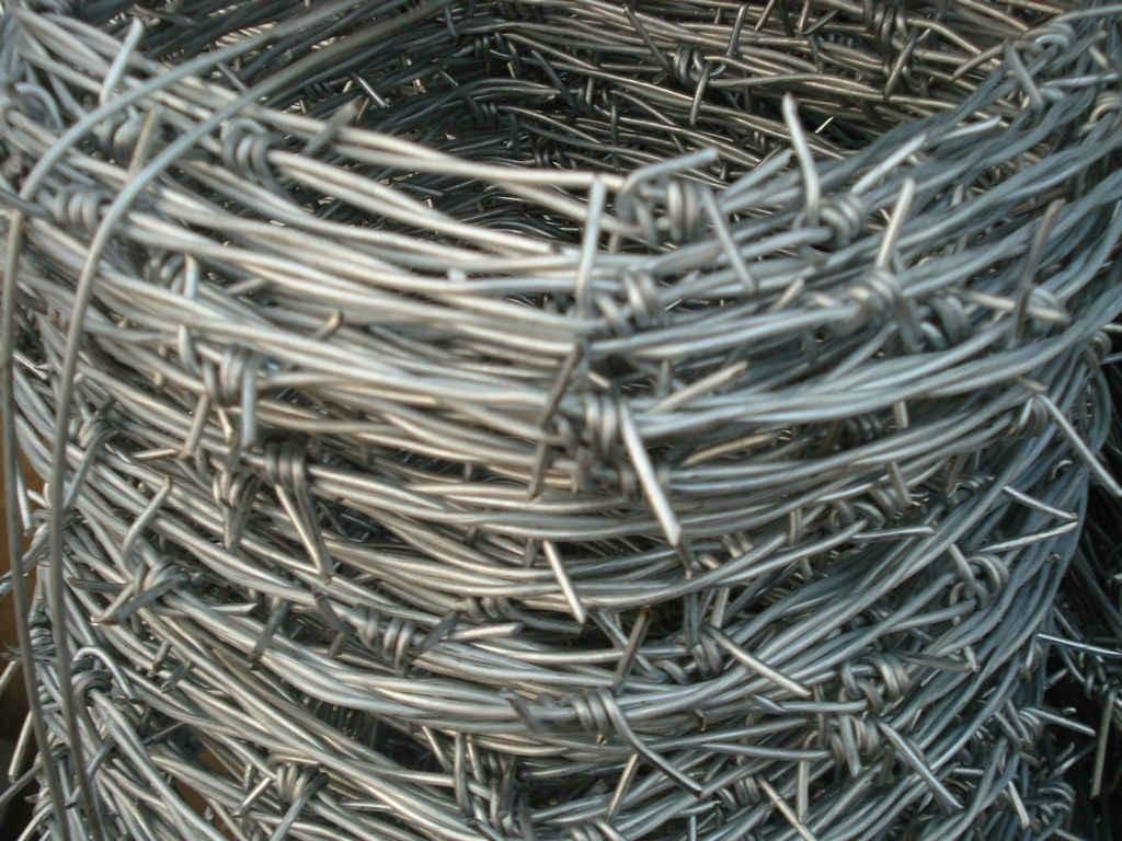 galvanized barbed wire 3