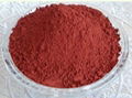 red yeast rice powder colorant nature color 2