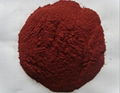 red yeast rice powder colorant nature color 4