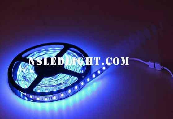 IP68 High Quality led light strips Taiwan Epistar SMD3528 60leds/m 4.8W with CE 2