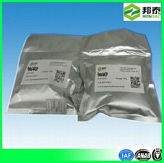 Nadp Nicotinamide Adenine Dinucleotide Phosphate CAS No.: 1184-16-3