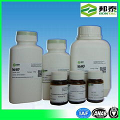 Nadp. Na2 Nicotinamide Adenine