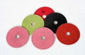 FLE XIBLE POLISHING PADS 1