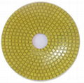 FLE XIBLE POLISHING PADS 5