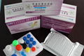 Chloramphenicol (CAP) ELISA test Kit 1