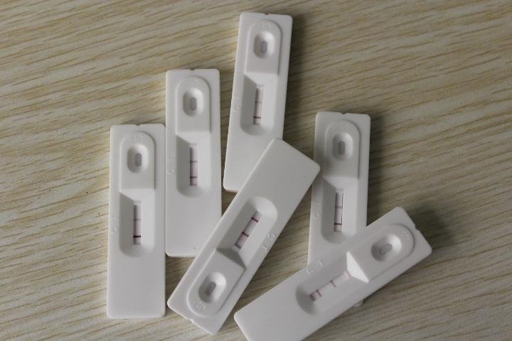  Penicillin G Test Strip 2