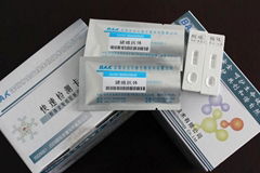 Porcine Parvovirus Antibody Test Strip