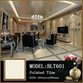 GZ Lida photos porcelain floor and tiles