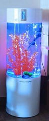 small acrylic cylindrical fish tank/fish aqurium