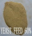 yeast powder 60%