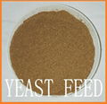 yeast powder 60% 3
