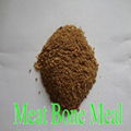 Meat Bone Meal 50% 1