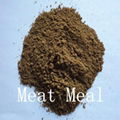 Meat Meal 50%