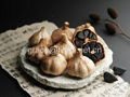 Multiple Clove Black Garlic 2