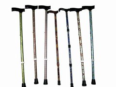 Fashion cane