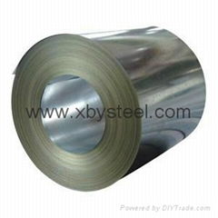 Galvanized Steel Coil