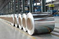 Price of GI galvanized Steel coil