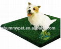 Indoor Pet Potty  2