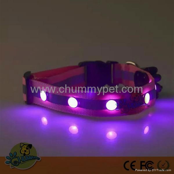 Crystal TPU & Nylon Webbing LED Pet Collar & Leashes  3