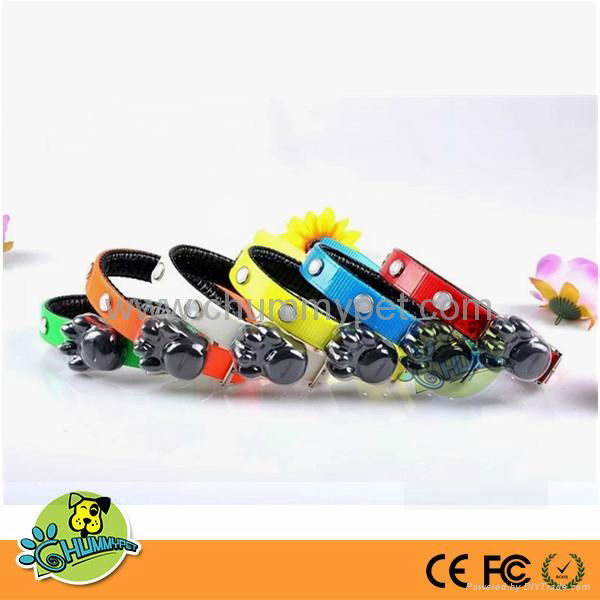 Crystal TPU & Nylon Webbing LED Pet Collar & Leashes  4