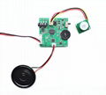 PIR Motion Sensor Audio Player Voice Recorder Based 