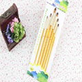 Boyi manufacturer drawing brushes 6pcs/sets 3