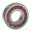 Angular Contact Ball Bearings 5