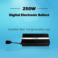 250W Dimmable Electronic Ballast for hydroponics 1