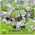 Pueraria Flavonoids