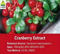 Cranberry Extract