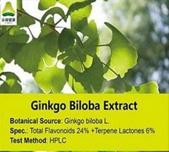 Ginkgo Biloba Extract EP USP39 CP2015