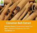 Cinnamon Bark Extract 1