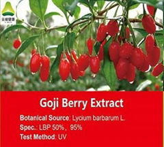 Goji Berry Extract LBP50%