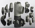 Carbon steel Fittings 3