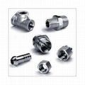 Forged Pipe Fittings 3