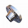 Weld Neck Flanges