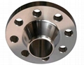Weld Neck Flanges 5