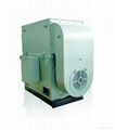 Y series high voltage three-phase induction motor