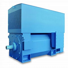 Compact series high voltage three-phase induction motor