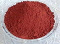 red yeast rice