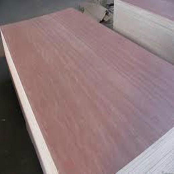 Hot sale the Okoume plywood and Bintangor plywood all over the world 2