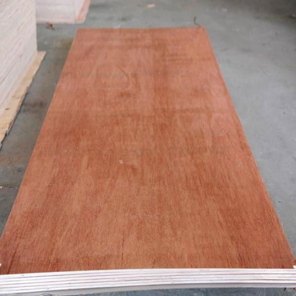 Hot sale the Okoume plywood and Bintangor plywood all over the world