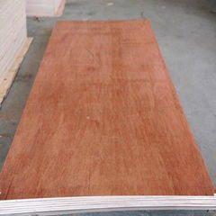 Hot sale the Okoume plywood and Bintangor plywood all over the world