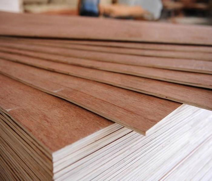 Hot sale the Okoume plywood and Bintangor plywood all over the world 3