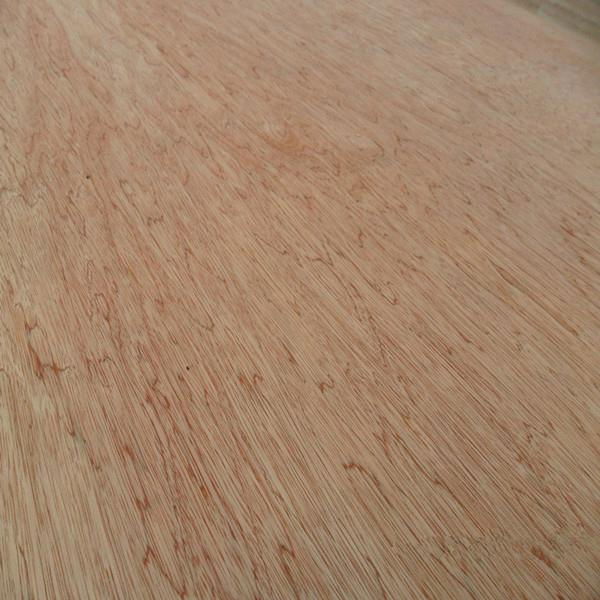 Hot sale the Okoume plywood and Bintangor plywood all over the world 4