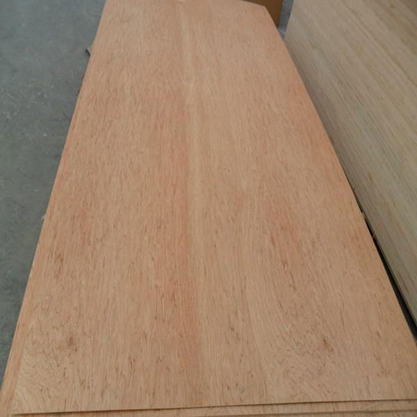 Hot sale the Okoume plywood and Bintangor plywood all over the world 5