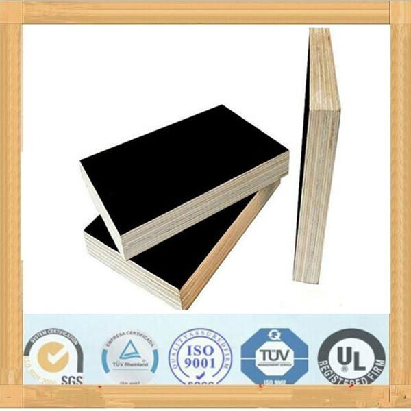 MR Glue film faced shuttering plywood 2