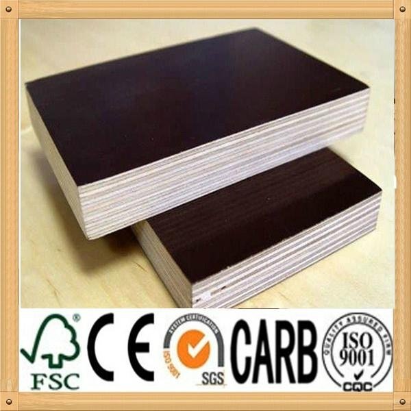concrete shuttering plywood panel for building material  2