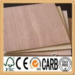 Poplar core MR Glue indoor usage commercial plywood